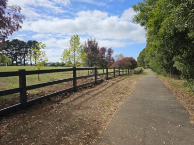 Post and Rail Fencing